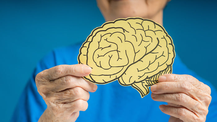 Unlocking the Potential of Hyperbaric Oxygen Therapy (HBOT) for Brain Aging: Enhancing Hippocampus Metabolism and Boosting Stem Cell Circulation